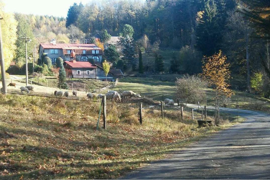 Apartmán Sedek *
